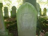 image of grave number 88974